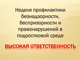 Профилактическая неделя &amp;quot;Высокая ответственность&amp;quot;.
