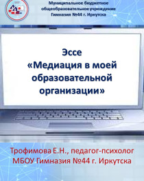 Эссе «Медиация в моей образовательной организации».